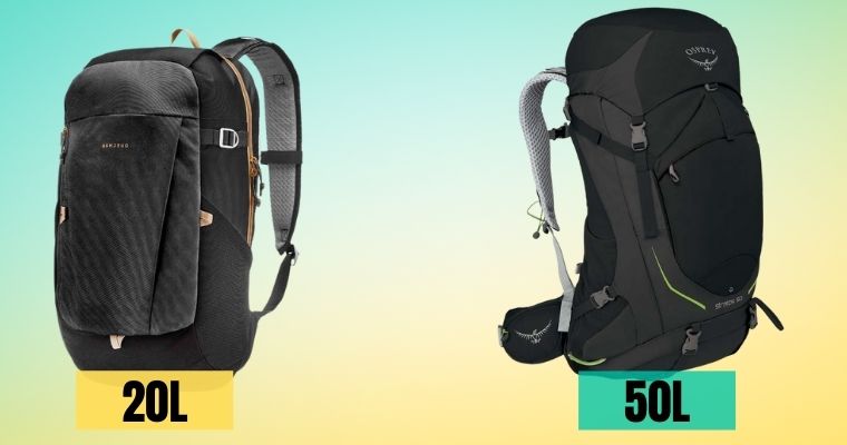 Backpack Vs Briefcase reviews