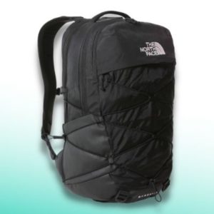 North Face Borealis backpack 